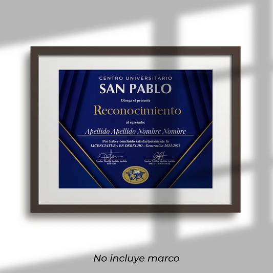 Reconocimiento (28 cm por 20 cm)